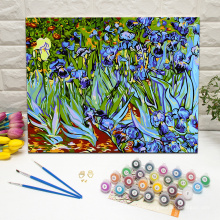 Masterpiece irises by van gogh DIY wall art paint by numbers on framed canvas